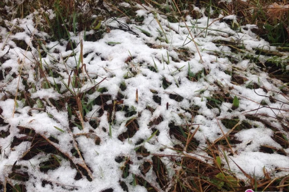 Spadł pierwszy śnieg! - zdjęcie 2