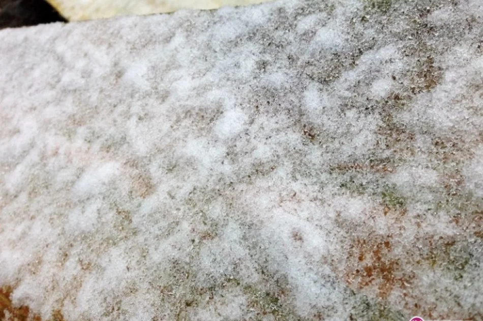 Spadł pierwszy śnieg! - zdjęcie 3