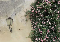 Kinkiety jako uniwersalne oświetlenie - zdjęcie główne