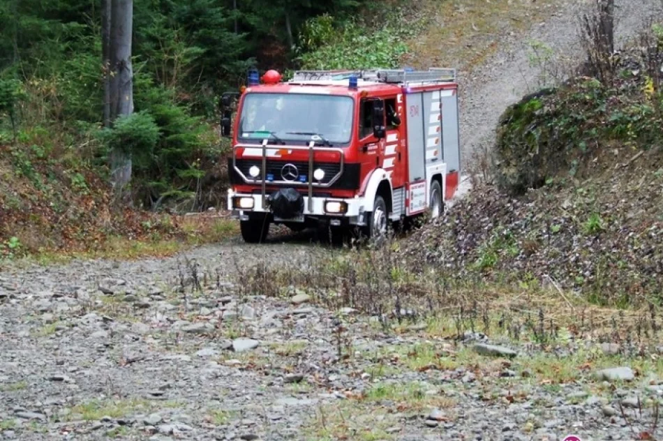 Ćwiczyli gaszenie pożaru lasu - zdjęcie 3