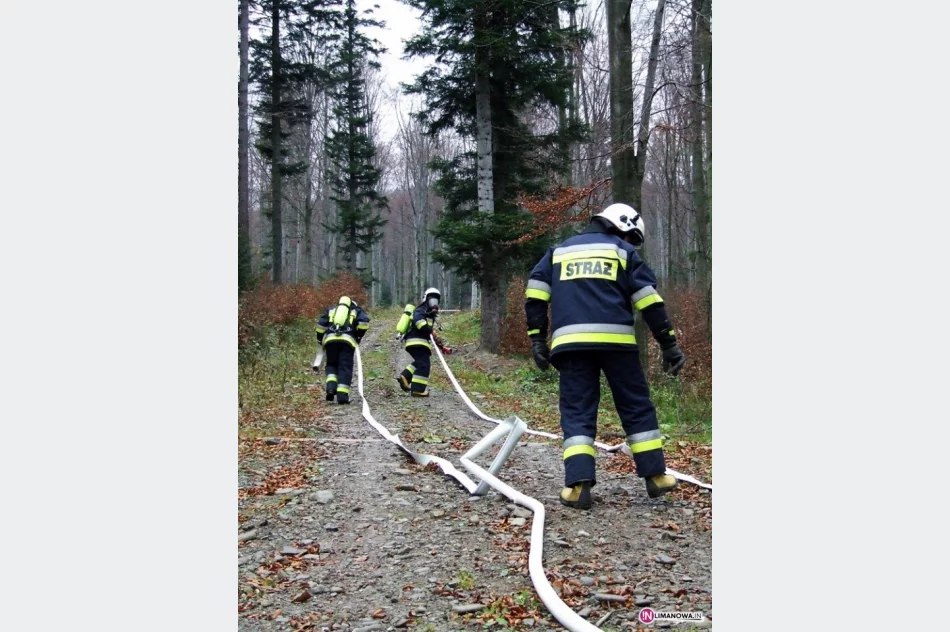 Ćwiczyli gaszenie pożaru lasu - zdjęcie 4