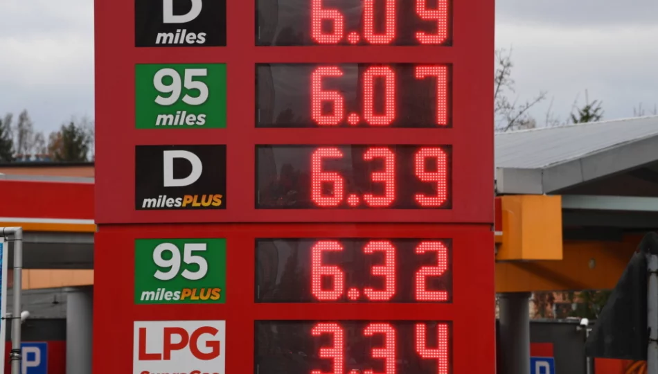 Co z cenami paliw? - zdjęcie 1