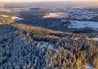 Kolejne ostrzeżenie o zanieczyszczeniu. Obowiązuje zakaz eksploatacji kominków i ogrzewaczy pomieszczeń na węgiel lub drewno  - zdjęcie główne