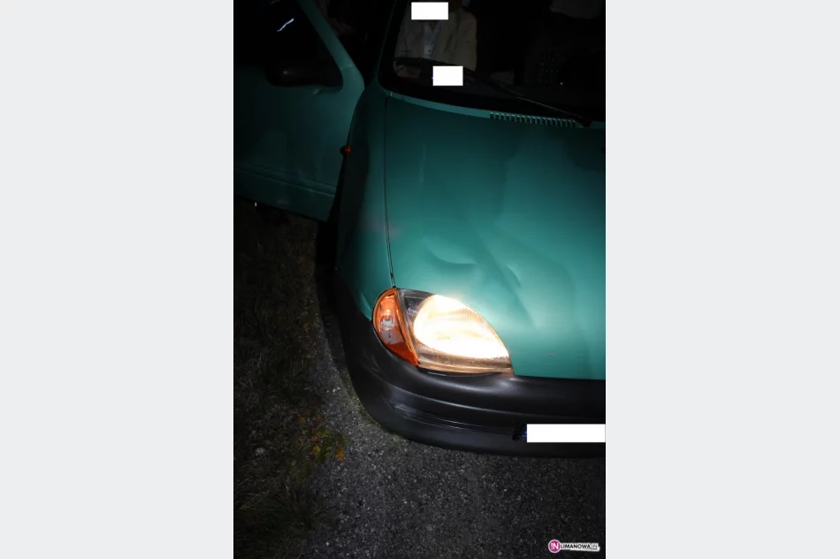 Byki staranowały przejeżdżające samochody - zdjęcie 3