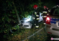 Opel zjechał z drogi i uderzył w drzewo - zdjęcie główne