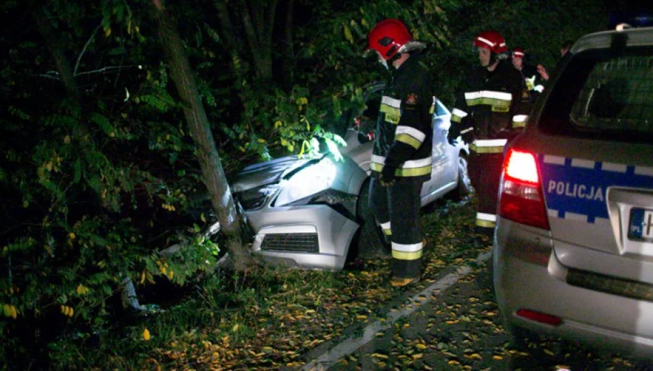 Opel zjechał z drogi i uderzył w drzewo - zdjęcie 1
