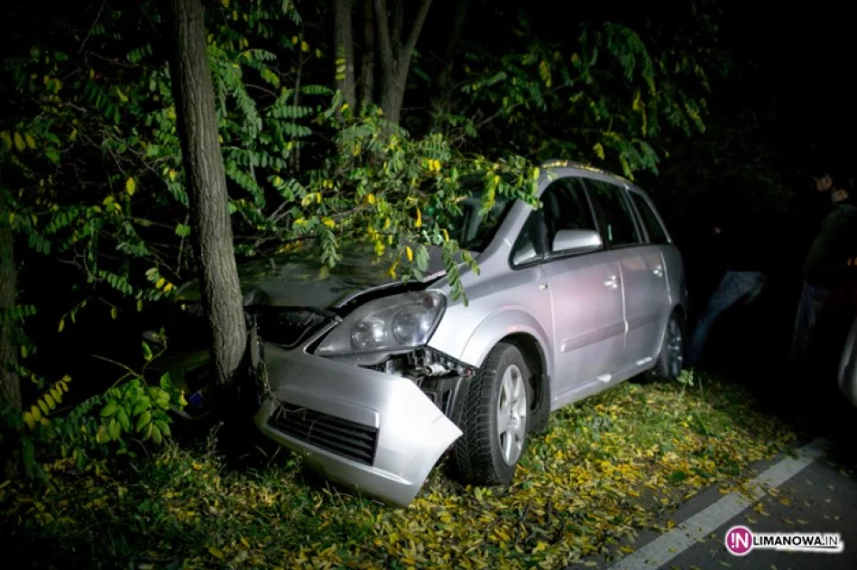 Opel zjechał z drogi i uderzył w drzewo - zdjęcie 2