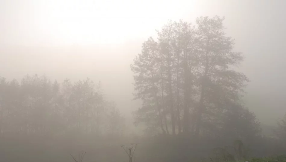 Drugi stopień zagrożenia - silna mgła - zdjęcie 1