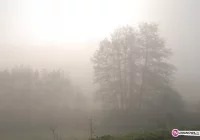 Drugi stopień zagrożenia - silna mgła - zdjęcie główne