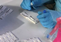 Ostrzegają przed "bardzo wysokim" ryzykiem związanym z omikronem - zdjęcie główne