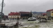 Świąteczna choinka zdobi już płytę rynku - zdjęcie 2
