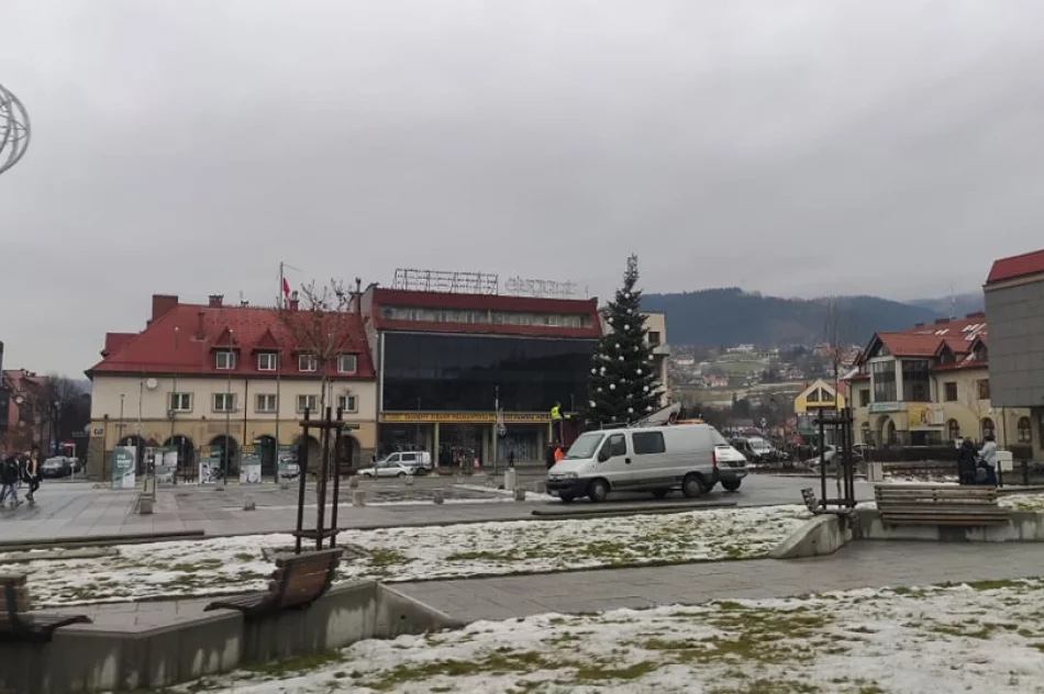 Świąteczna choinka zdobi już płytę rynku - zdjęcie 2