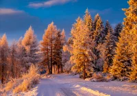 Intensywne opady śniegu - ostrzeżenie IMiGW. Prognoza na weekend - zdjęcie główne