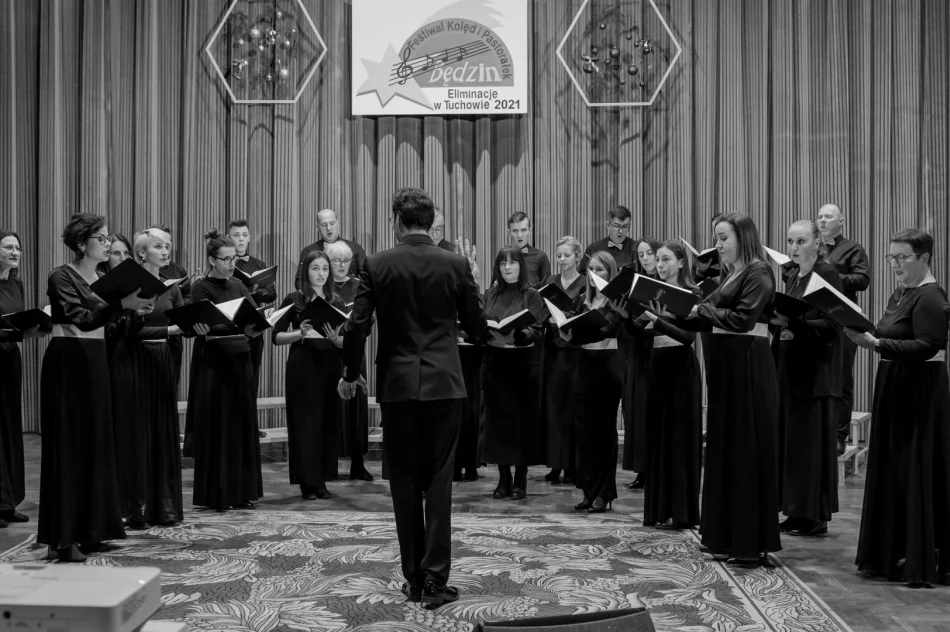 LimaNovum zakwalifikowany do międzynarodowego festiwalu - zdjęcie 3