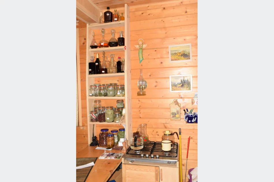 Zioła w nalewkach leczniczych - zdjęcie 2