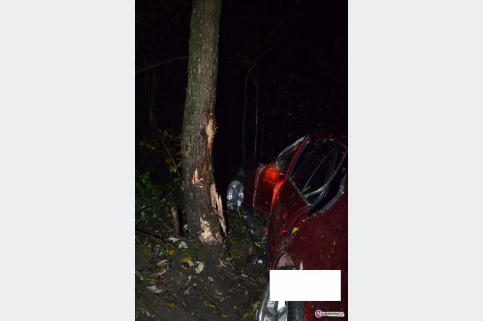 Bmw uderzyło w drzewo. 'Kierowca' pijany - zdjęcie 4