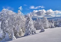 Meteorolodzy znów ostrzegają: intensywne opady śniegu - zdjęcie główne