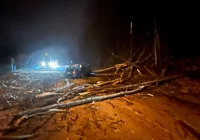 Samochód najechał na drzewa powalone na jezdnię  - zdjęcie główne