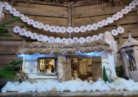 Rozstrzygnięto dwa przeglądy kolęd. Uczestniczyło kilkuset uczniów i przedszkolaków - zdjęcie główne