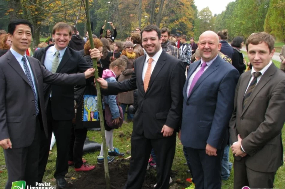 Powiat z Kryształowym Drzewem - zdjęcie 2