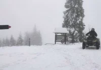 Więcej patroli w kompleksach leśnych - zdjęcie główne