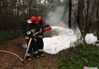 Płonęło dzikie wysypisko śmieci - zdjęcie główne