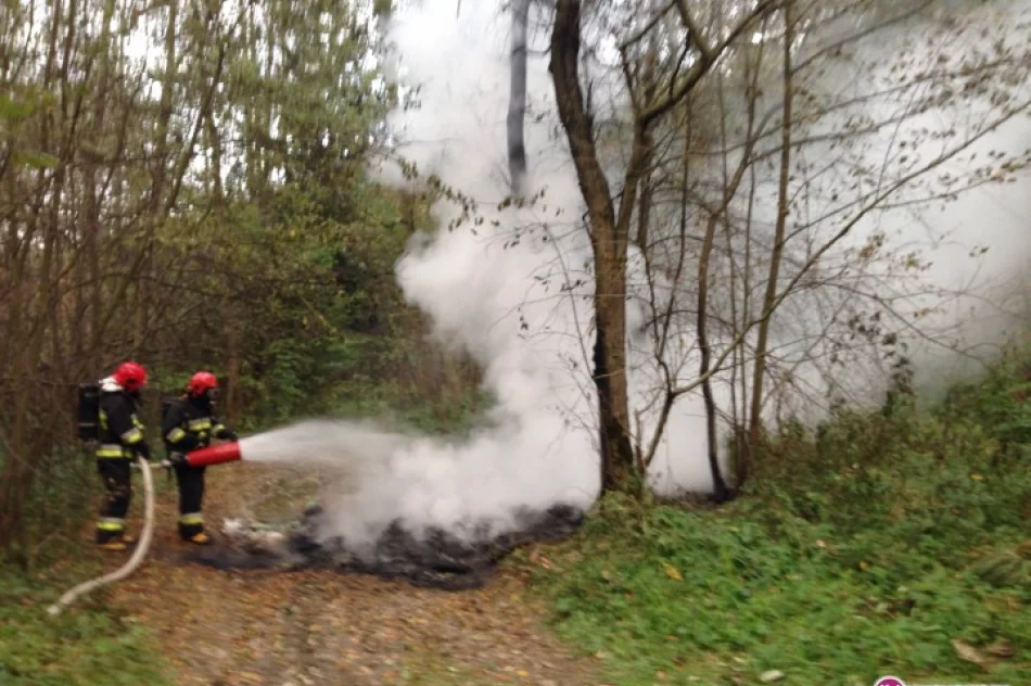 Płonęło dzikie wysypisko śmieci - zdjęcie 2