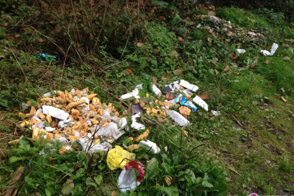 Płonęło dzikie wysypisko śmieci - zdjęcie 3