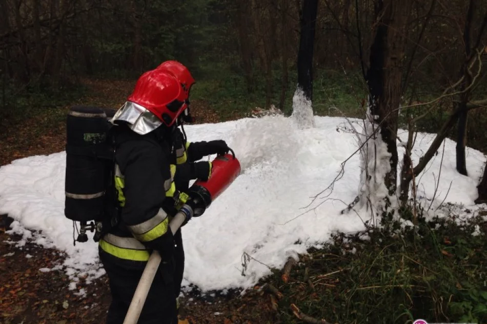 Płonęło dzikie wysypisko śmieci - zdjęcie 4