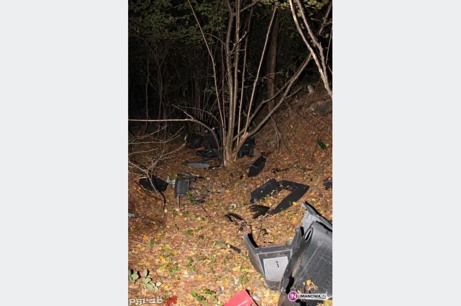 Elektrośmieci trafiają do... lasu - zdjęcie 2