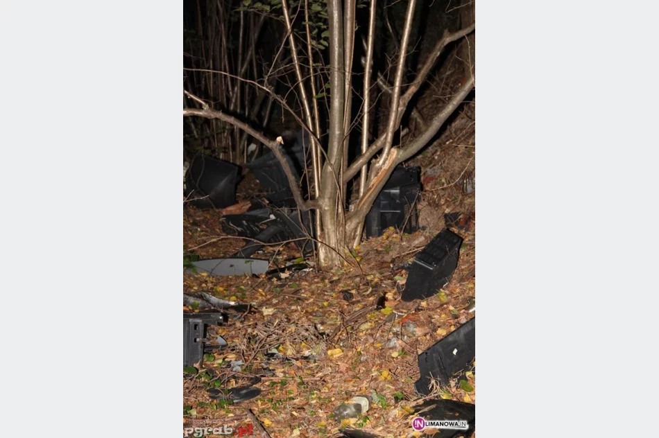 Elektrośmieci trafiają do... lasu - zdjęcie 3