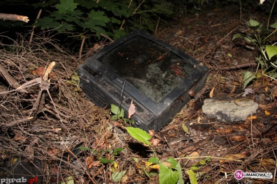 Elektrośmieci trafiają do... lasu - zdjęcie 4