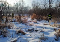 Strażacy i policjanci szukali 64-latka - zdjęcie główne