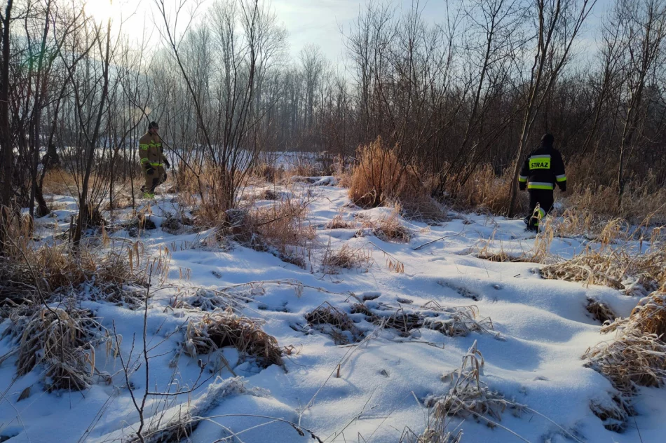 Strażacy i policjanci szukali 64-latka - zdjęcie 3