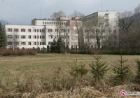 Prowokacja 'GK': starosta może szybciej - zdjęcie główne