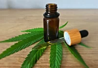 Czym się różni CBD od THC? - zdjęcie główne