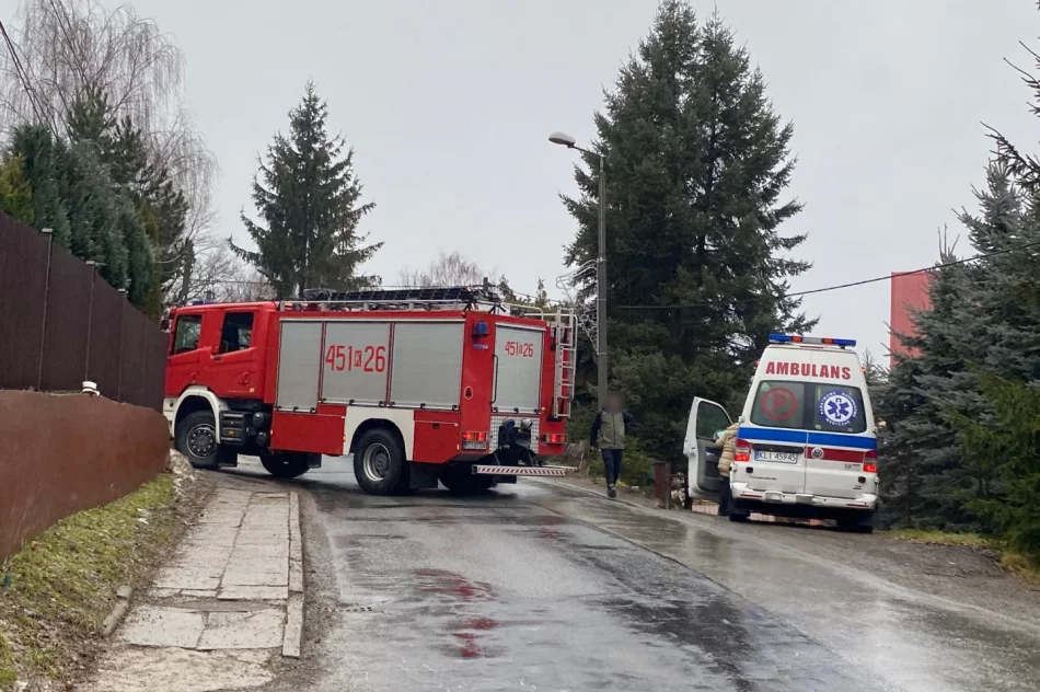 Czołowe zderzenie na łuku drogi - zdjęcie 2