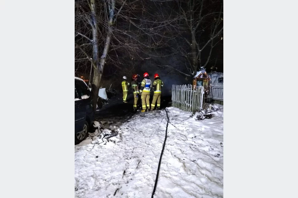 Mieszkańcy mają dość spalania elektrośmieci  - zdjęcie 10