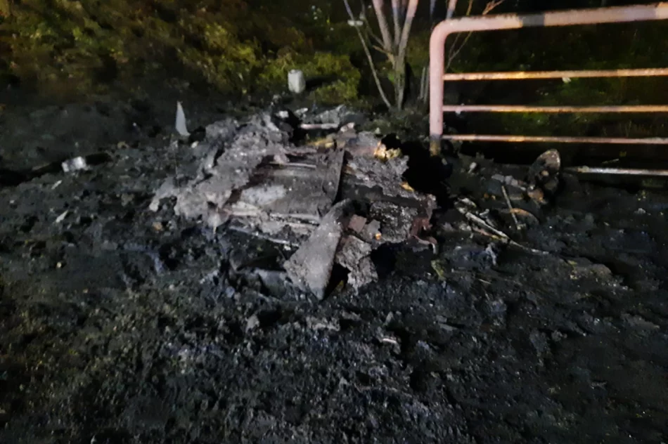 Mieszkańcy mają dość spalania elektrośmieci  - zdjęcie 12