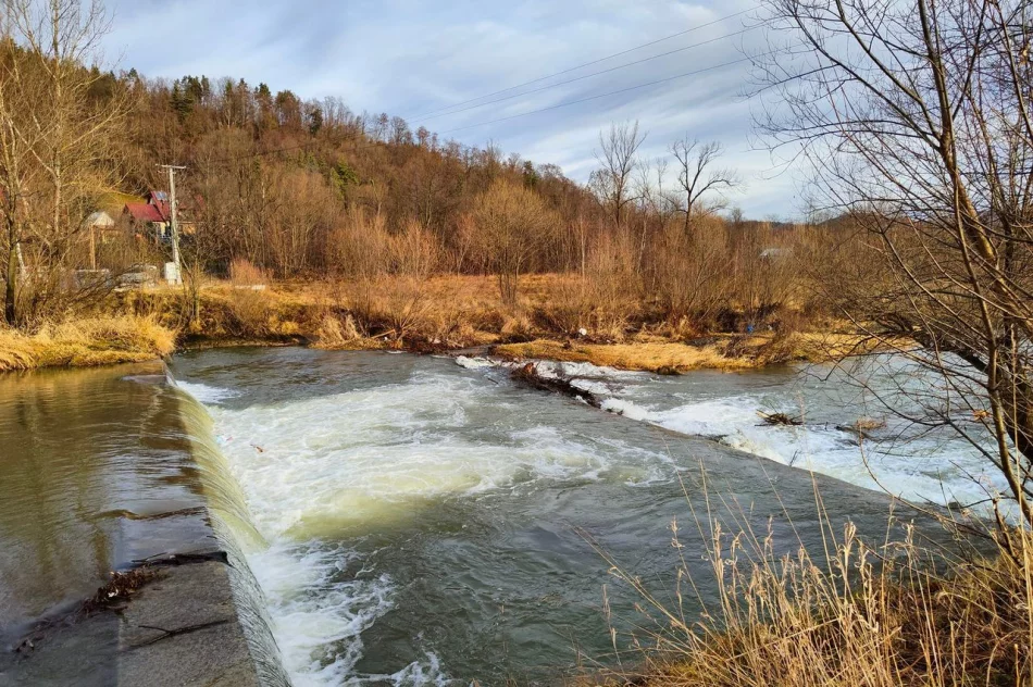 Druhowie uratowali psa, który utknął na środku rzeki - zdjęcie 2