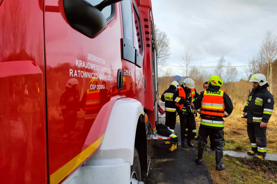 Druhowie uratowali psa, który utknął na środku rzeki - zdjęcie 3