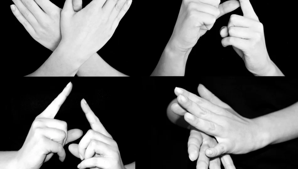Kurs języka migowego w Limanowej – ruszają zapisy! - zdjęcie 1