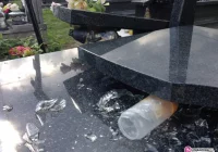 Zdewastowany cmentarz w Ujanowicach - zdjęcie główne