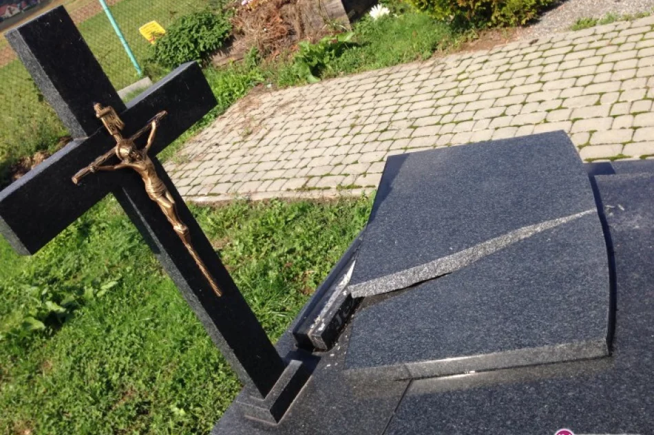 Zdewastowany cmentarz w Ujanowicach - zdjęcie 3