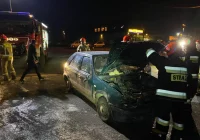 Druhowie doskonalili swoje umiejętności - zdjęcie główne