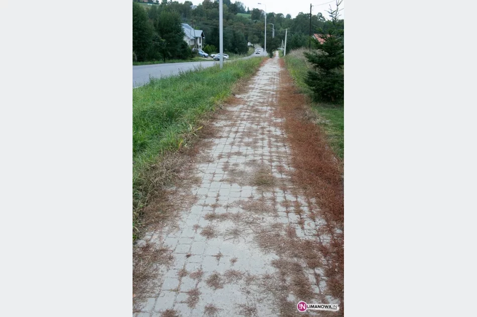 Zapomniany chodnik... od zimy - zdjęcie 4