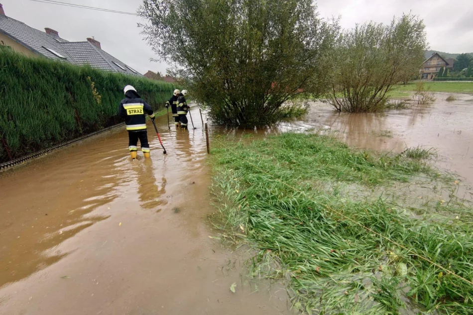 Zakupiono sprzęt ratowniczy za ponad 80 tys. zł, podjęto 129 interwencji – druhowie z OSP Limanowa podsumowali 2021 rok - zdjęcie 18