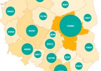 Polska gospodarka potrzebuje cudzoziemców  - zdjęcie główne