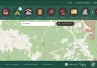 Z powodu prac leśnych zamkną część pola biwakowego - zdjęcie główne