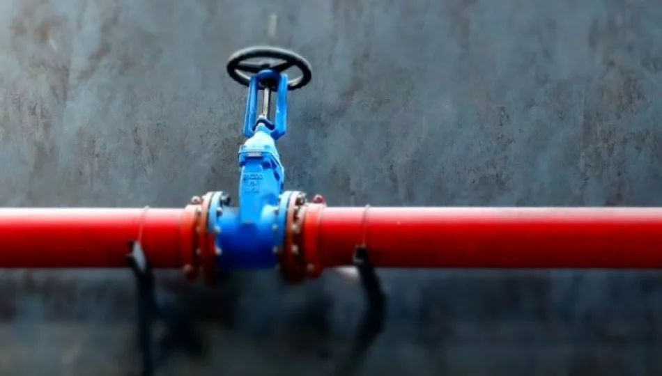 Poważny problem z wodą. “Ściągamy hydrogeologa” - zdjęcie 1